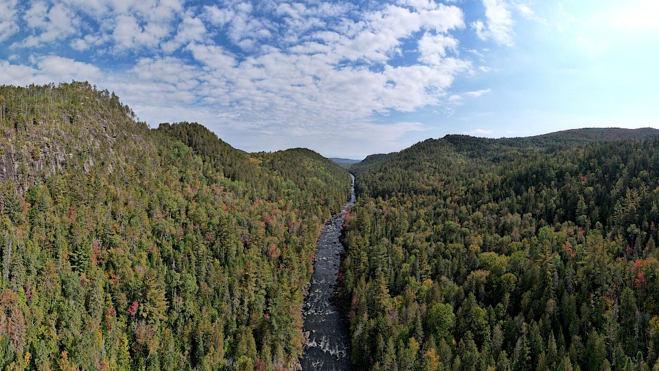 Parc régional de la forêt Ouareau